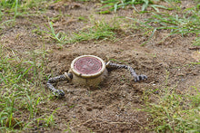 Load image into Gallery viewer, PRE-ORDER 2251 Nendoroid Alexander