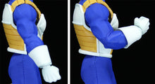 Load image into Gallery viewer, PRE-ORDER S.H.Figuarts Imagination Works Dragon Ball Z - Vegeta